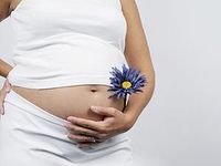 Какие льготы пособия положены беременным
