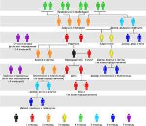 Распределение наследства между наследниками по закону