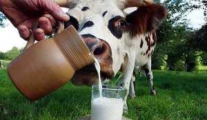 Как написать заявление о замене молока денежной компенсацией