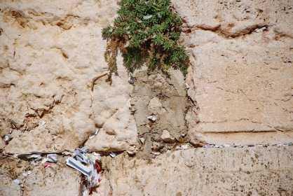 Израиль стена плача как правильно написать записку