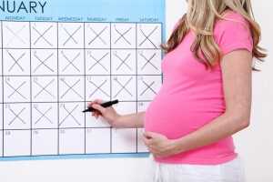 Как написать заявление на очередной отпуск по беременности